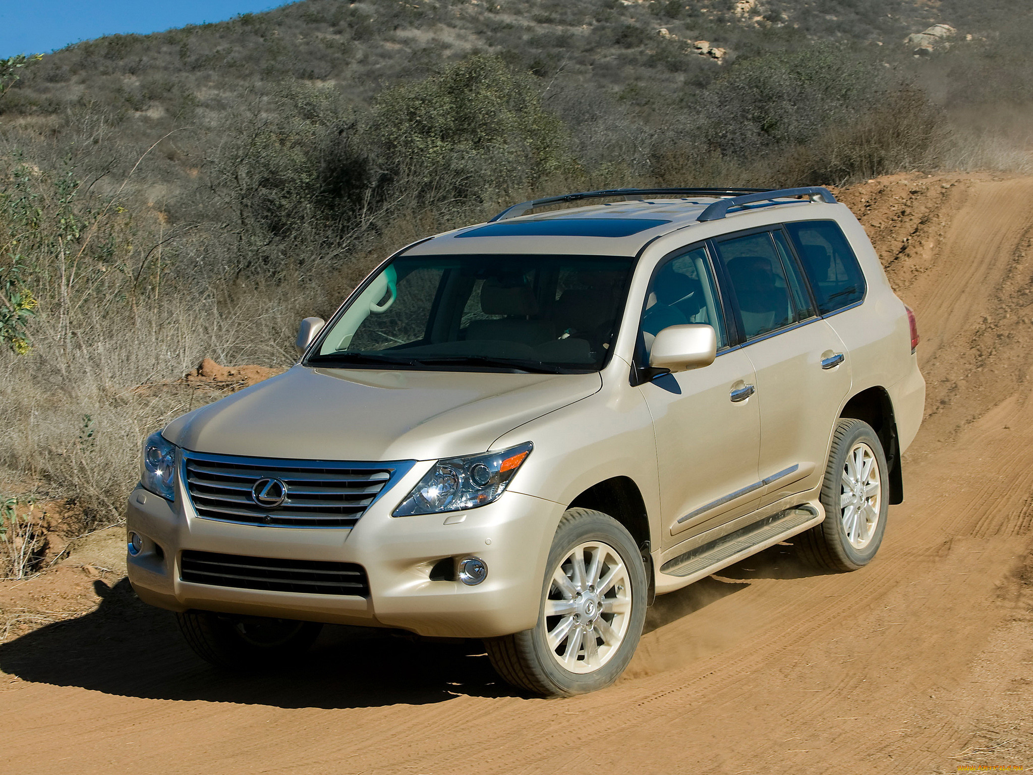, lexus
